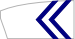 Rudergesellschaft Heidelberg 1898 e.V.