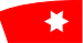 Breisacher Ruderverein e.V.